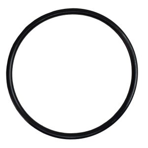 Non Return Valve O Ring