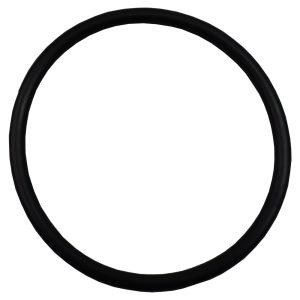 Plastica Argonaut AV Pump Diffuser O-Ring