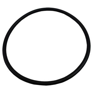 Plastica Argonaut AV Pump Lid O-Ring