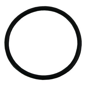 ESPA Silen Pump Union O-Ring *While stocks last*