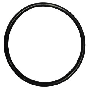 Pentair Swimmey Pump Union O-Ring (R505426)