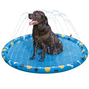 Fetchin' Fun Pet Splash Pad