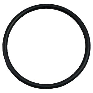 Plastica HeatSeeker Union O-Ring  43mm for Vertical 17kW