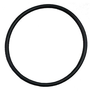 Plastica HeatSeeker Union O-Ring  52mm for Vertical 17kW