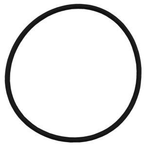 Waterco Lacron Filter 6in Lid O Ring