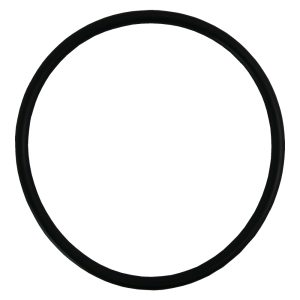 Pentair Freeflo Pump Lid O-ring