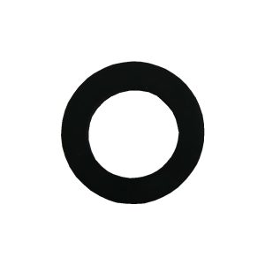 Pentair MPV O-Ring Sight Glass