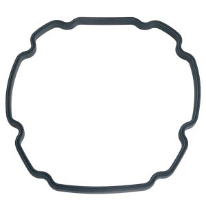 Plastica iFlo Pump Volute Gasket