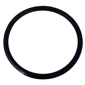 Plastica iFlo 310 Filter O-Ring between valve assy and tank
