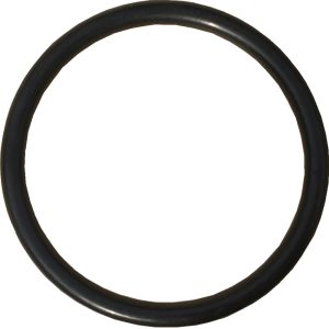 Triton Adaptor O-Ring
