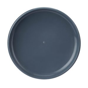 Sports Disc Blue