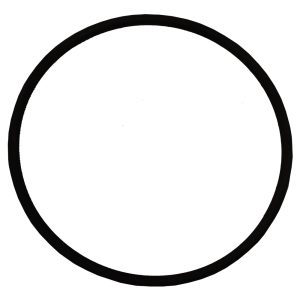 Plastica Argonaut AV Pump Seal Plate O-Ring