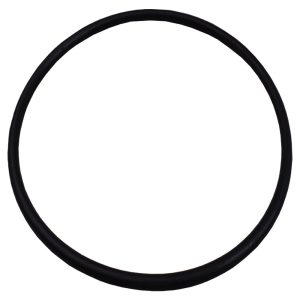 Plastica Argonaut Pump AG  Lid O-Ring
