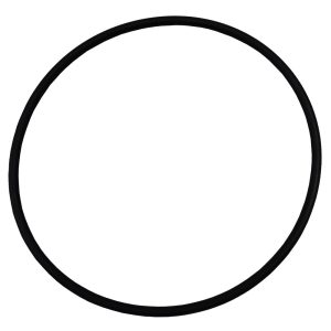 Plastica Argonaut Pump AG Seal Plate O-Ring