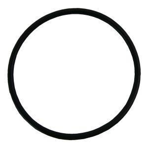 Plastica Argonaut Pump AG Diffuser O-Ring